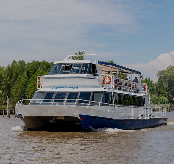 Passeio ao Tigre 2
