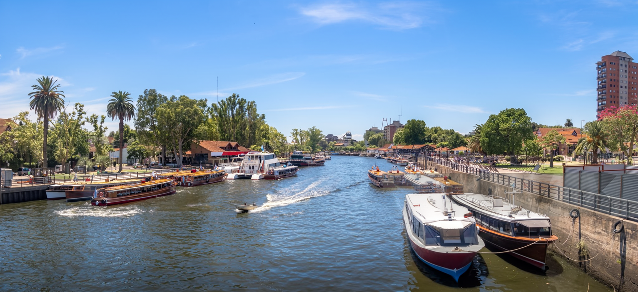 Passeio ao Tigre 1
